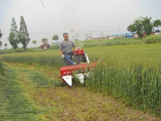 自走式割曬機(jī)價(jià)格和圖片，手扶割曬機(jī)安裝